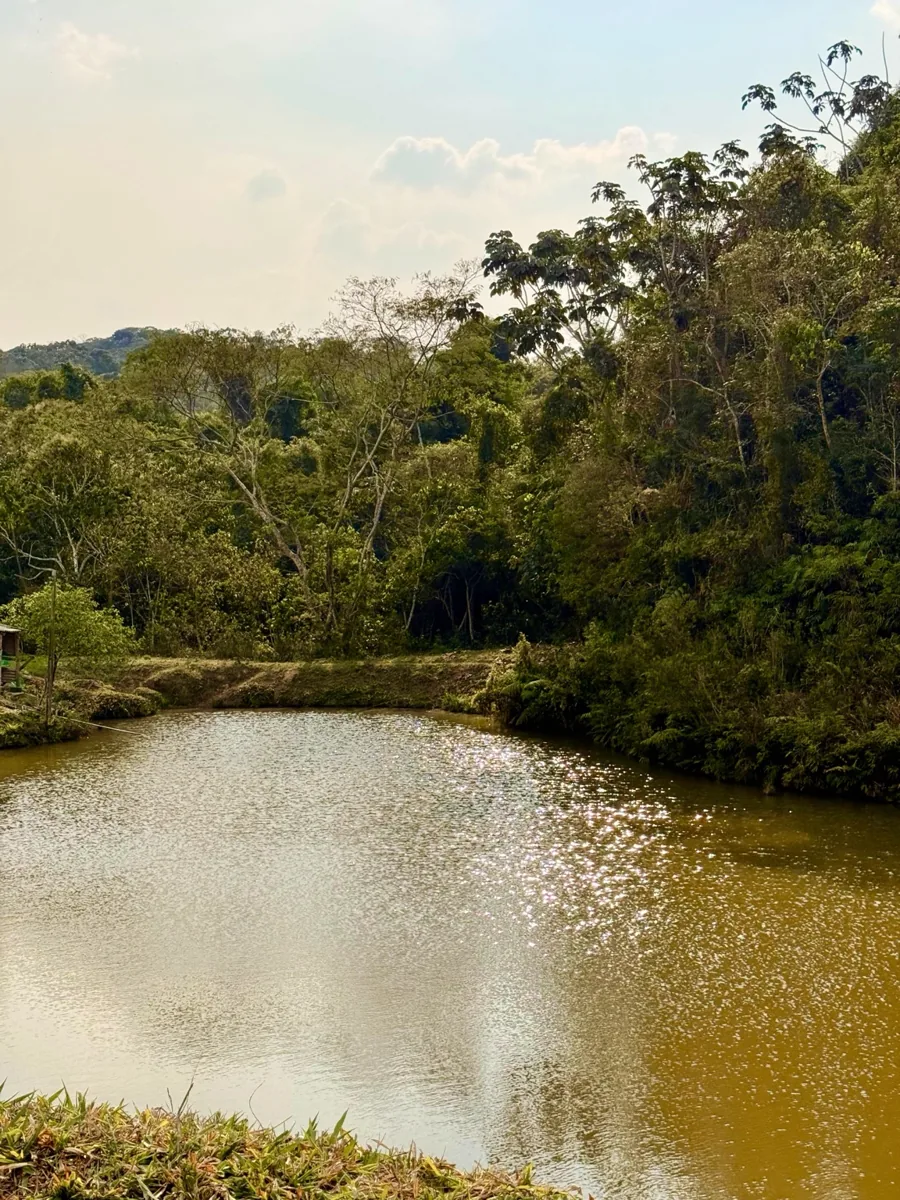 Lago cercado pela vegetação do Recanto